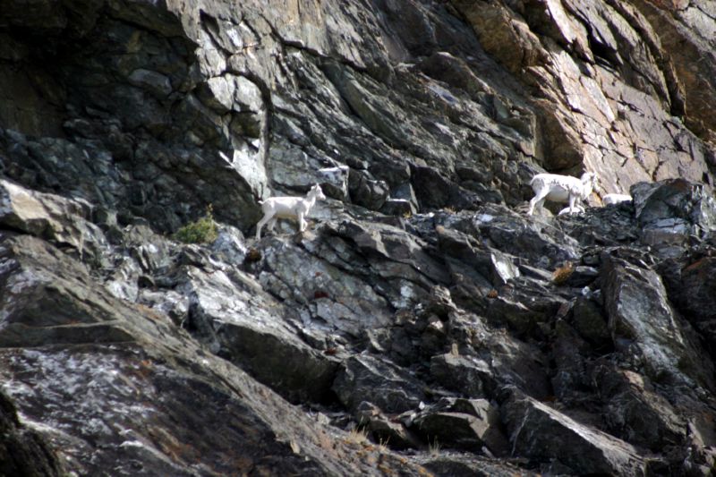 070404 Hope Hatcher Montana Creek (10044)